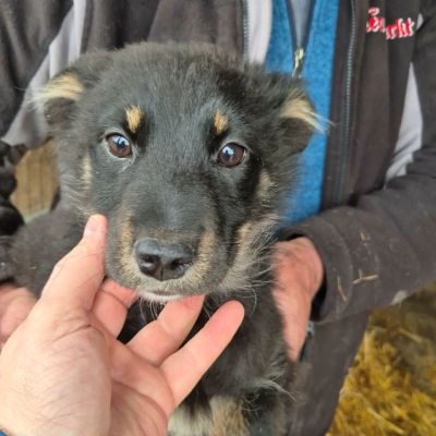 650985250 1899307297614137 4805876006907693090 n