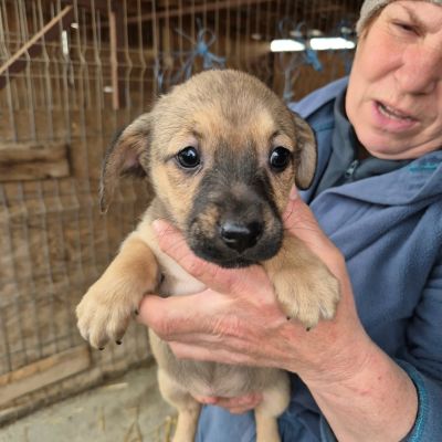 651003282 1578779020018167 6883099724055742598 n