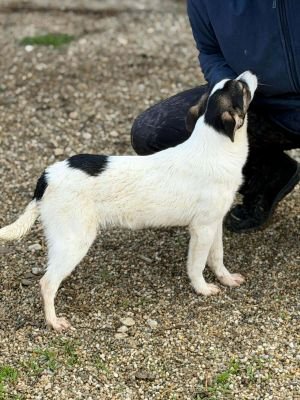 651003282 970563728816433 3451213670019747319 n