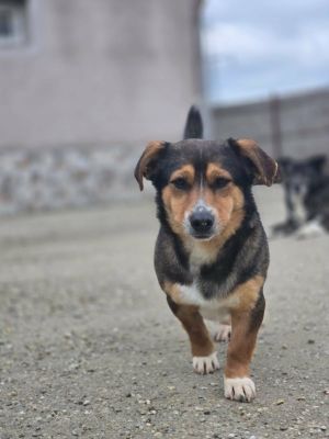 651026125 972137709325859 235686874085177683 n