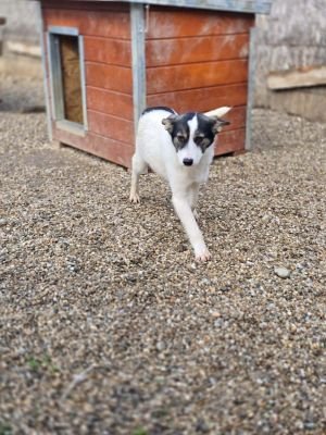 651039115 967491842489259 5493896623407427324 n