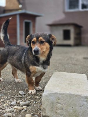 651048622 1311653570874001 1442700923942832805 n