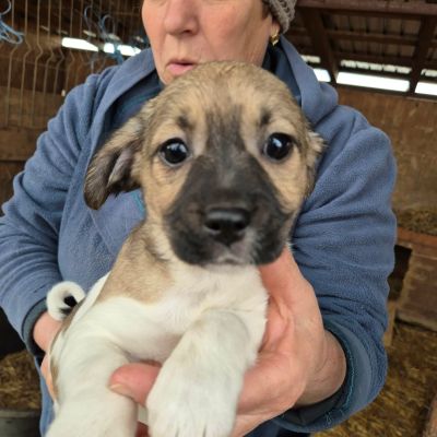 651061641 1592083648750793 5676832294480745795 n