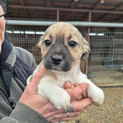 651580847 1471079684747372 3342936076187613359 n