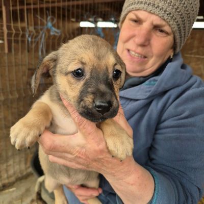 651780959 937381692003044 591783007992520546 n