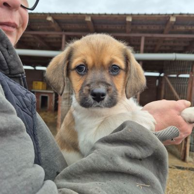 651792044 740455052361175 5708740389184600279 n