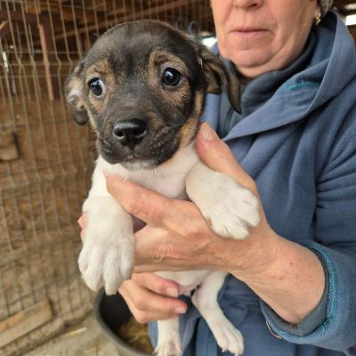 651809220 2724649631253642 6947823881728164784 n