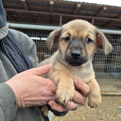 651816104 1251687743779335 2125847629224839650 n