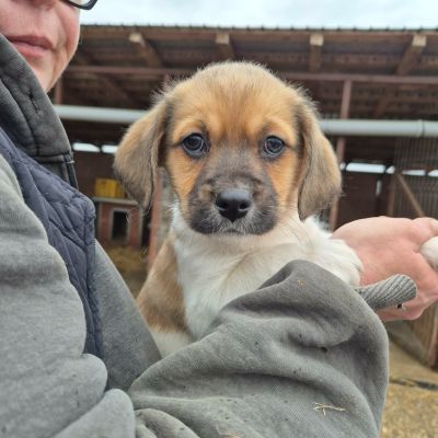 651985870 1234289112153694 2409364741477234082 n