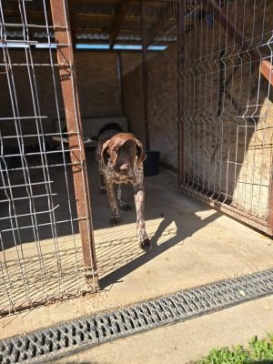 651997967 1583192689421141 7188275510683242669 n