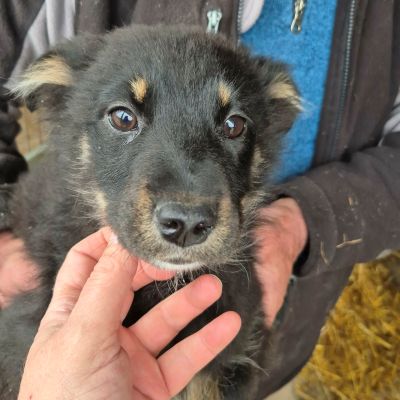 652002196 1289344793129126 5075793527690337024 n