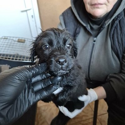 652217626 1468060175336350 8000480499798960491 n