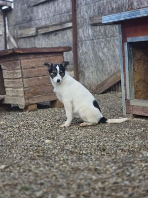 652217626 1847826485881358 2263520239140987164 n