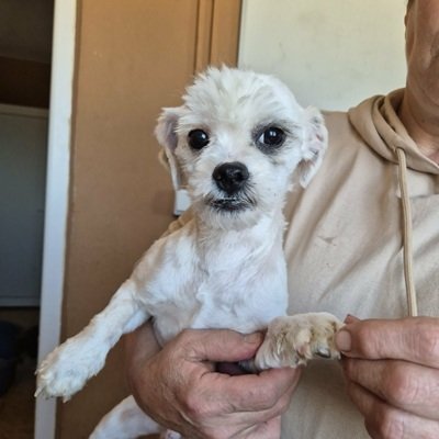 652260823 905424719191723 7195302955179769968 n