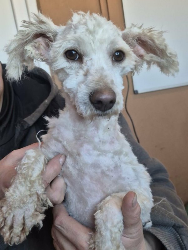 652430046 1321665153183776 8873611913173366658 n