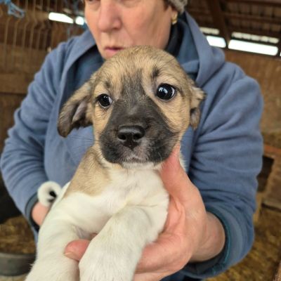 652731911 939327985613538 5591723765122907701 n