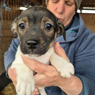 652852963 1418426753097279 8915660706670893662 n