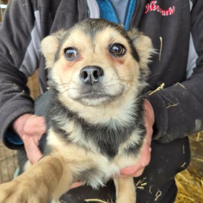 653523715 3900217463612648 8716311847695705229 n