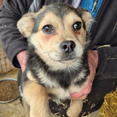 653582378 1238909215065364 8219180923856247674 n