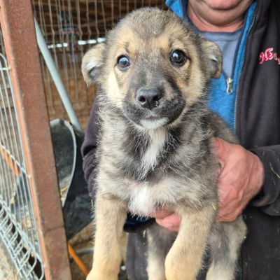 654616857 2069008657000992 7504779284918762106 n