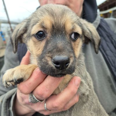 654674195 1452759549772257 8908597258429551738 n