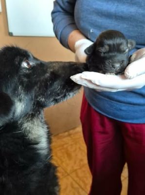 654697850 26353627927611118 2202072832386875690 n