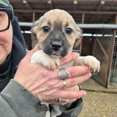 655184534 1262735788577112 6098774139394540104 n