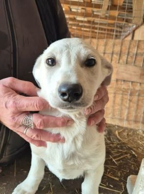 655229444 26376314142009163 7867534525316515886 n