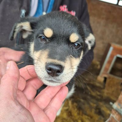 655374679 962816382812981 5986972784890105053 n