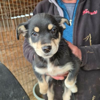 655435979 1247308367552243 8942116791635221973 n