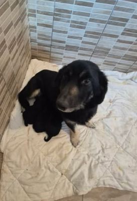 655597249 26353625897611321 7960006145972817584 n