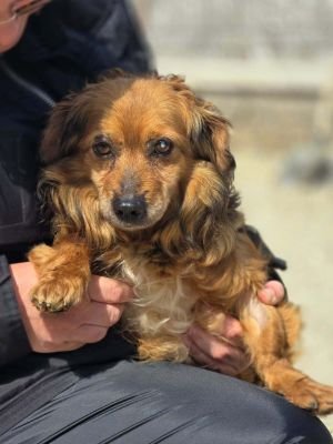 655618743 1598032661481052 5530023618651226765 n