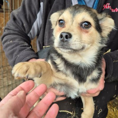 655698140 26187486177576270 3129934077160662074 n