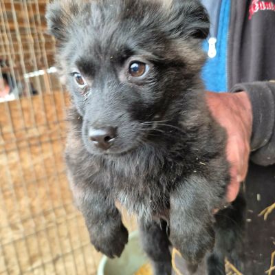 655811941 2476405536146202 2515925407768832475 n