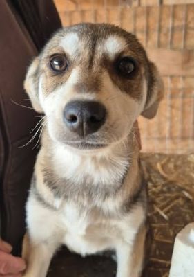 655987396 26376108198696424 5386752454346483954 n