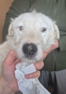 656004211 26343377085302869 7430342692798357973 n