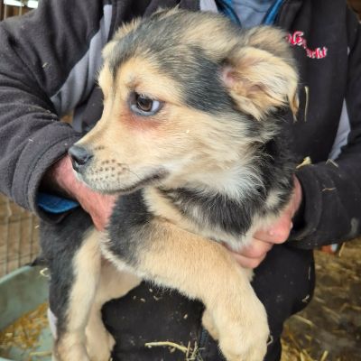 656039314 1436004778268792 5377112872711969164 n