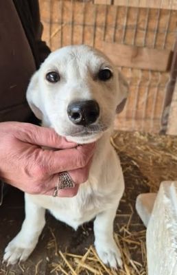 656110864 26376314672009110 8027961395952364350 n