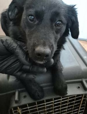 656162038 26353368010970443 4365175734049893138 n