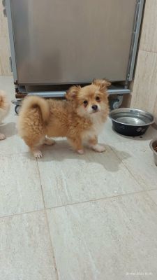 656402140 26397693539871223 7975046318147288086 n