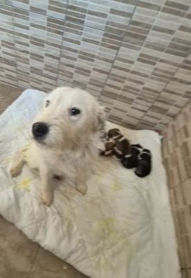 656618119 26343377395302838 3394910228997115524 n