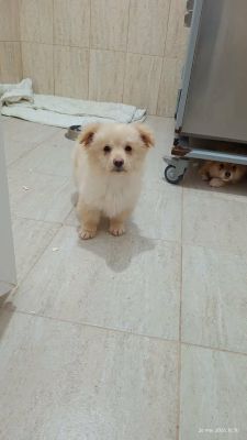 656711057 26397797336527510 7207566955454707880 n