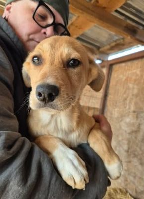 656768190 26376281675345743 7467020055673269976 n