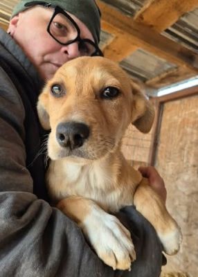 656849788 26376281925345718 2858009125860638725 n