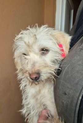 656969160 26408921815415062 7359521680380889624 n