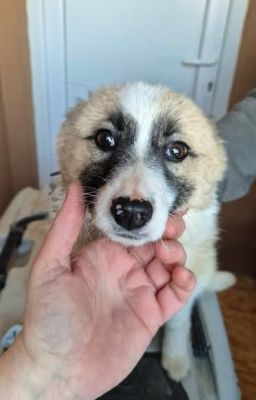 656998253 26408839598756617 8991049238103021266 n