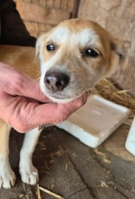 657011720 26376001122040465 2398244409777918850 n