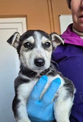 657143269 26376208475353063 7970627638974964370 n