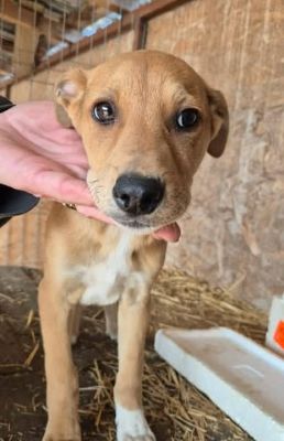 657161244 26376256085348302 7478294075633812992 n