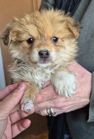 657169054 26397677379872839 3054177122388429573 n